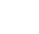 logo_vis_white
